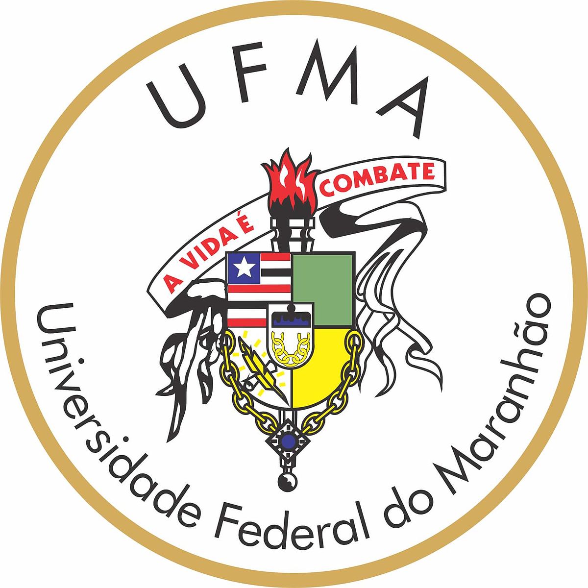 Apostila UFMA Assistente em Administração concurso 