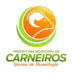 apostila Prefeitura de Carneiros AL - Agente Comunitário de Saúde pdf download concurso 2024