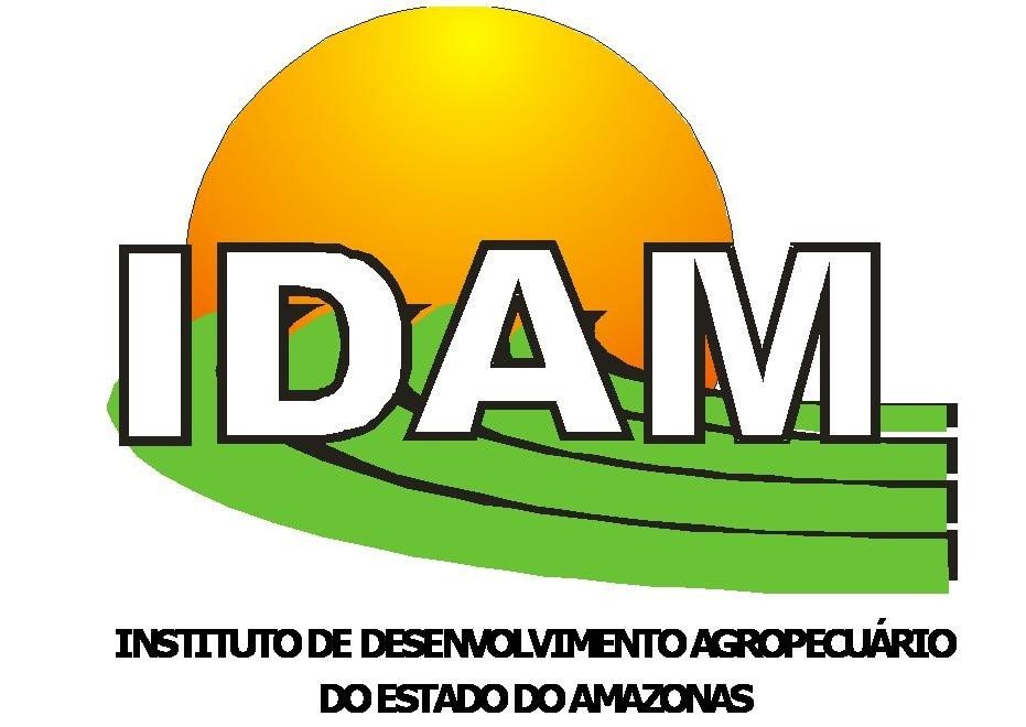 execução